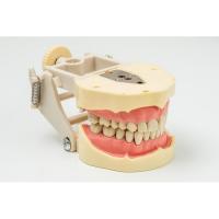 JG-J1 - фантомная челюсть