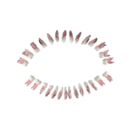 Комплект из 28 зубов для модели DS0980