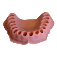 ДВ-32 - эластичная слизистая верхней челюсти для денто-моделей ЧВН-32А и ЧВН-32П