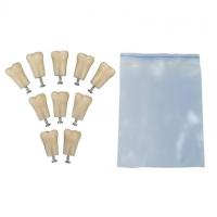 З-32-1.10 - комплект из 10 модельных зубов для денто-моделей ЧВН-32