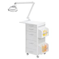 Ionto Comed Practica II Мебель для косметологического кабинета