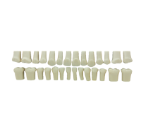 SET OF 28 MELAMIN TEETH - набор из 28 меломиновых зубов для фантомной челюсти
