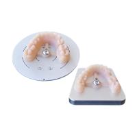 Occ3-4p - устройство  для фиксации 3D печати модели в Occluform-3