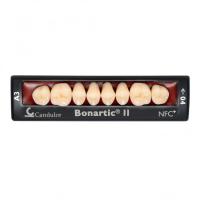 Bonartic II NFC+ - композитные боковые зубы
