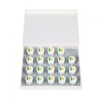 EX-3 Luster Complete Kit - набор люстрового фарфора