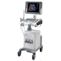 Mindray DC-N2 Аппарат УЗИ