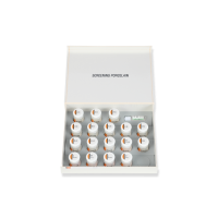 EX-3 Screening Porcelain Kit - набор экранирующего фарфора