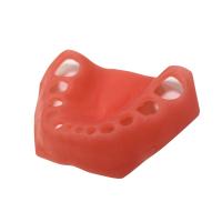 ДН-24 - эластичная слизистая нижней челюсти для денто-модели ЧВН-24