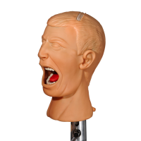 Standart - самодренируемый фантом без торса