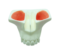 SINUS MODEL - модель для практики синус-лифтинга, белая